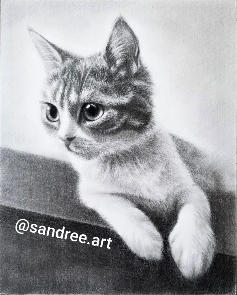 Kitten, Pencil on canvas