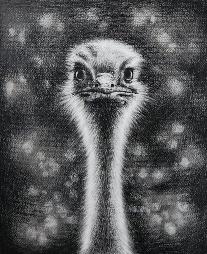 A bird, Pencil on canvas