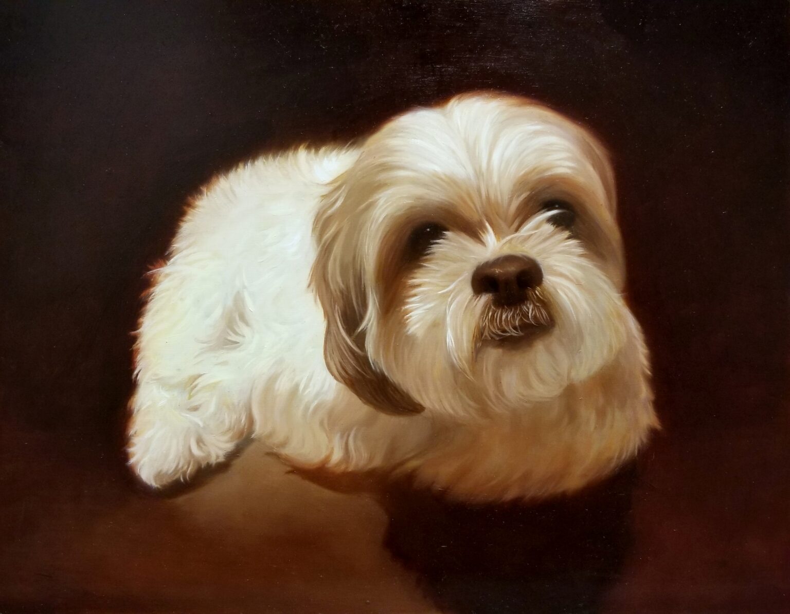 Shih Tzu, Oil on canvas