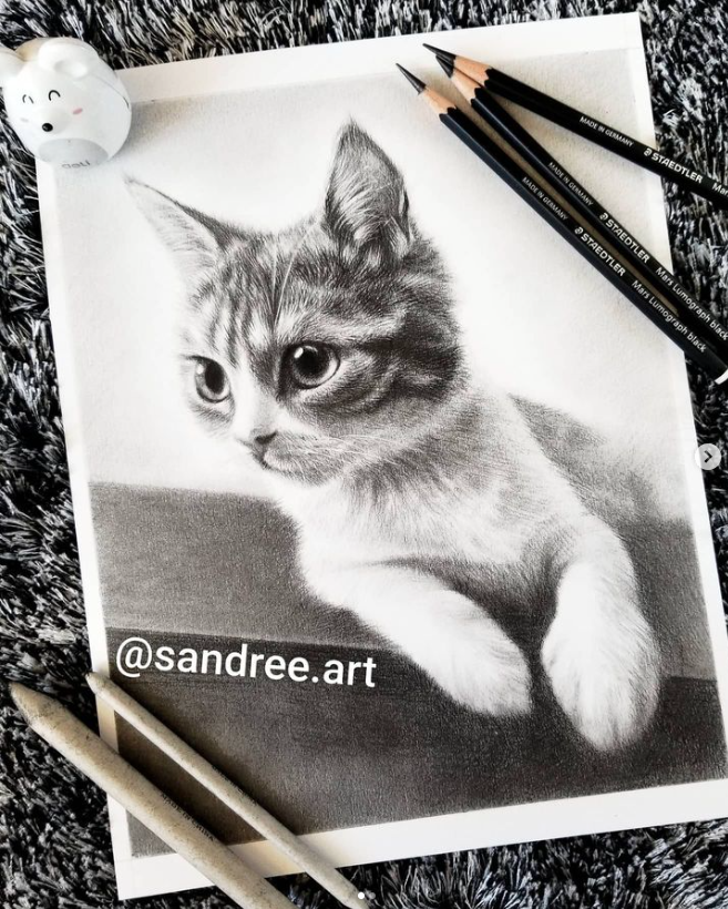 Kitten